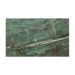 Botanic Green Extra Quartzite Polished Slab (2cm)